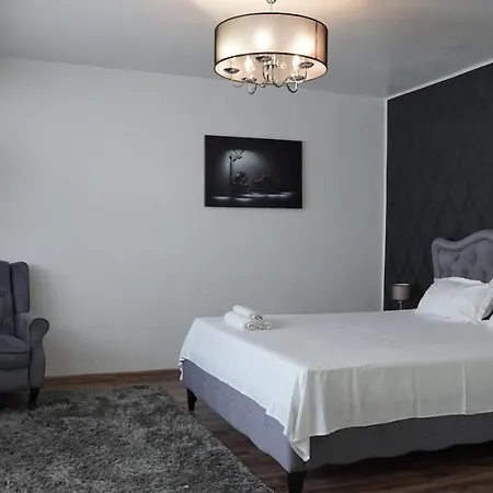 Apartment Luxury 1br Near Hanul Drumetului *