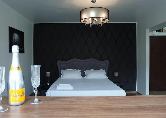 Luxury 1br Near Hanul Drumetului Appartement